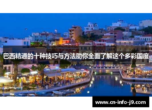 巴西精通的十种技巧与方法助你全面了解这个多彩国度