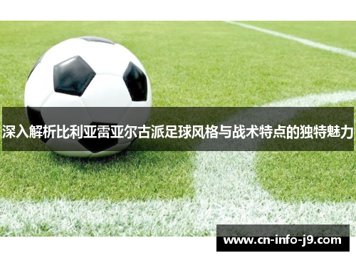 深入解析比利亚雷亚尔古派足球风格与战术特点的独特魅力
