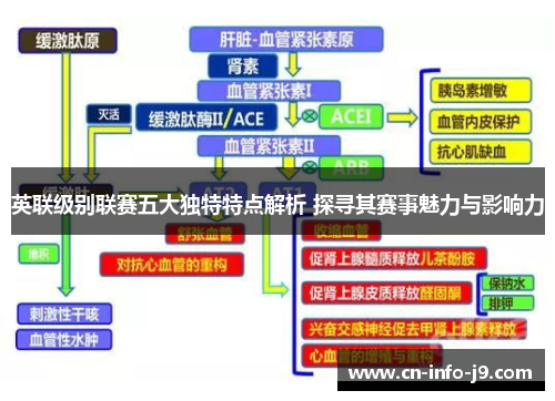 英联级别联赛五大独特特点解析 探寻其赛事魅力与影响力 英联级别联赛五大独特特点解析 探寻其赛事魅力与影响力
