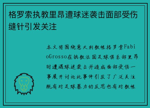 格罗索执教里昂遭球迷袭击面部受伤缝针引发关注 格罗索执教里昂遭球迷袭击面部受伤缝针引发关注